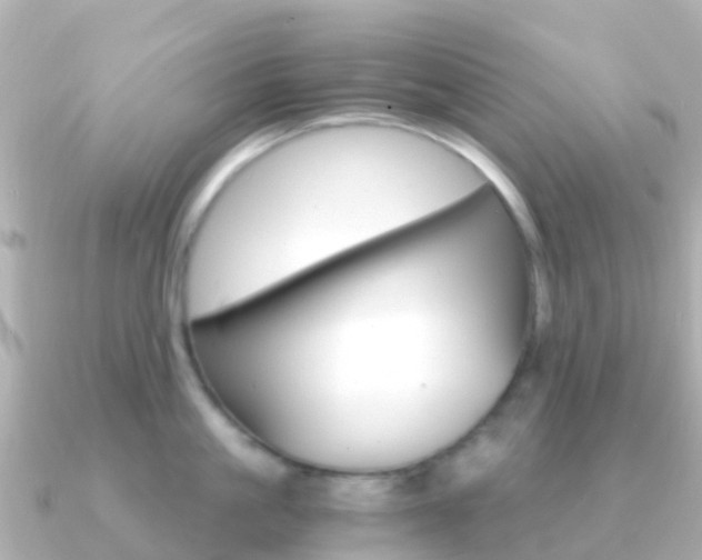 X0000091360861200708101053