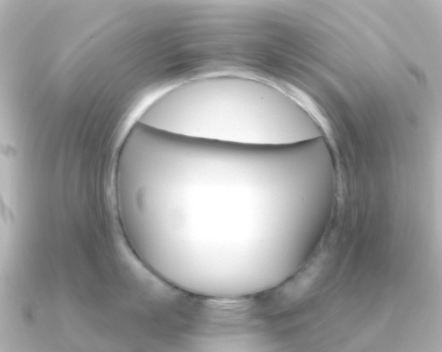 X0000091360863200708101053