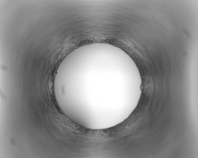 X0000091360866200708101053