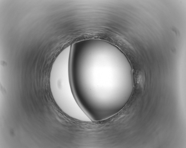 X0000091360868200708101053