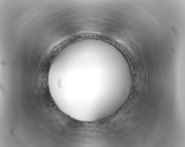 X0000091360870200708101053