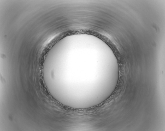 X0000091360871200708101053