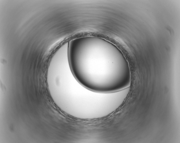X0000091360872200708101053