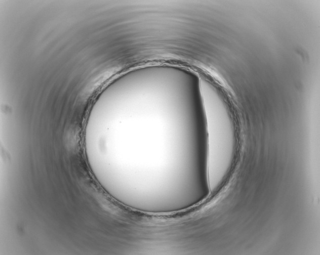 X0000091360873200708101053