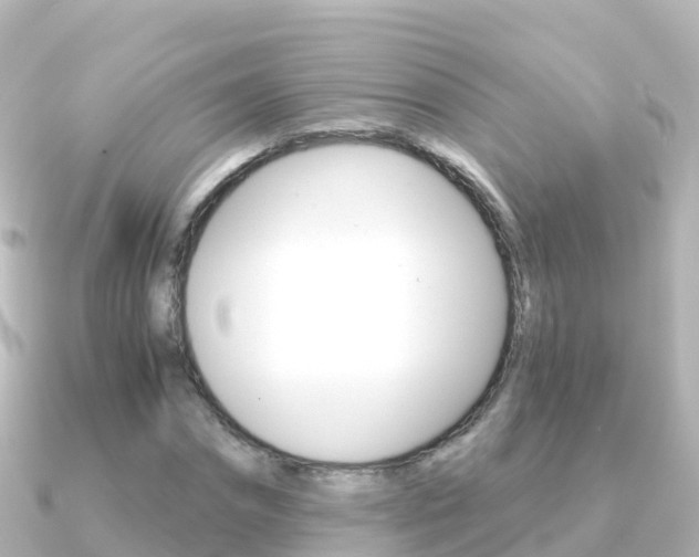 X0000091360874200708101053
