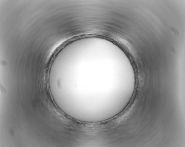 X0000091360875200708101053