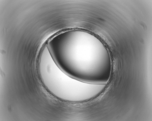 X0000091360876200708101053