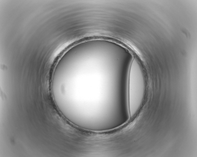 X0000091360877200708101053
