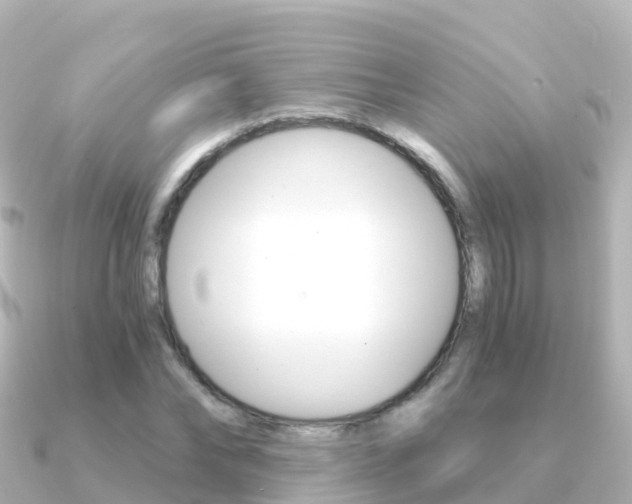X0000091360878200708101053