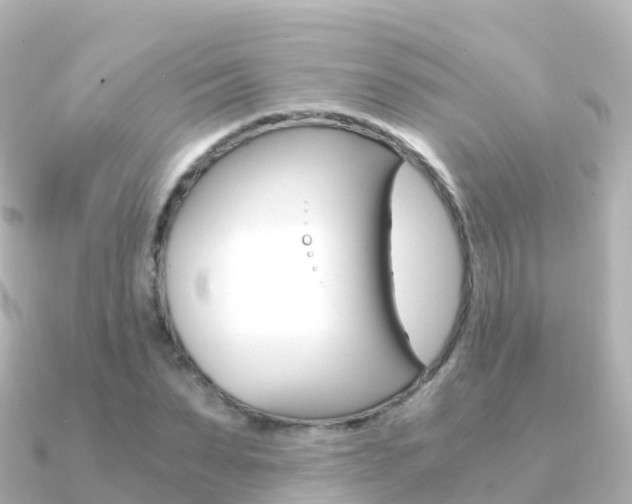 X0000091360879200708101053