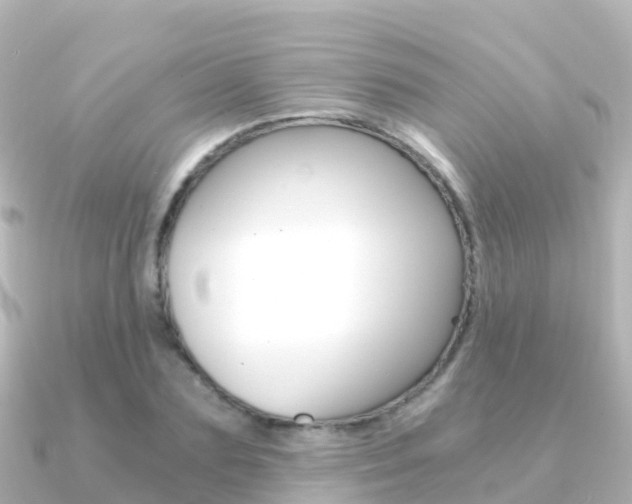 X0000091360883200708101053