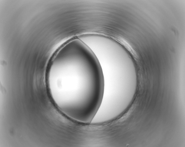 X0000091360884200708101053