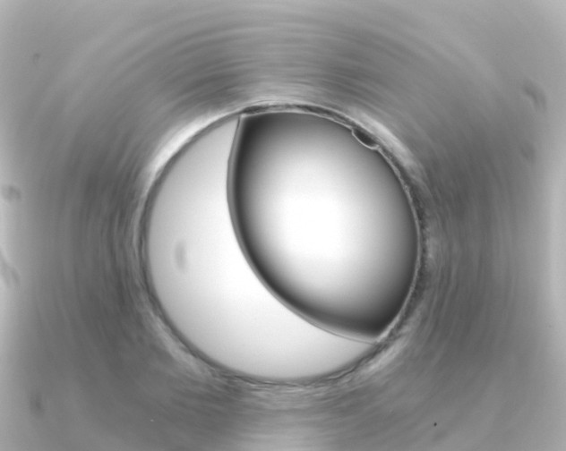 X0000091360885200708101053