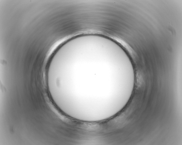 X0000091360886200708101053
