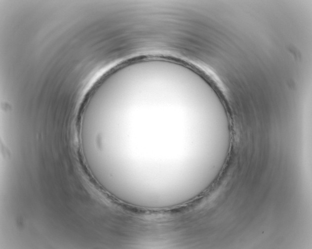 X0000091360887200708101053