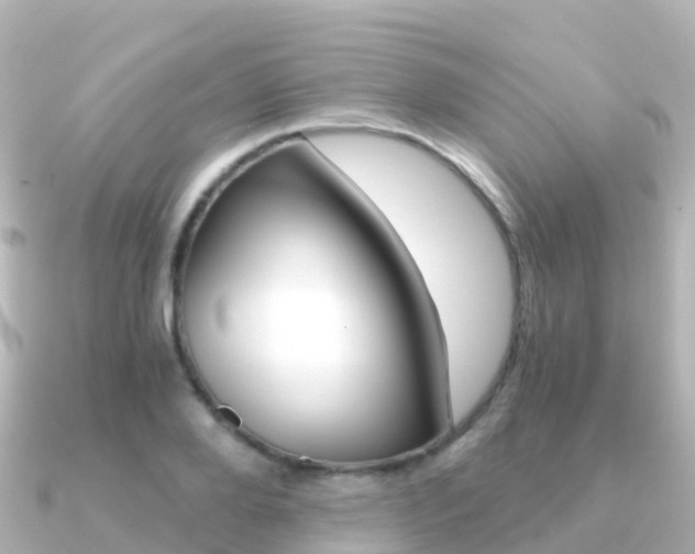 X0000091360888200708101053