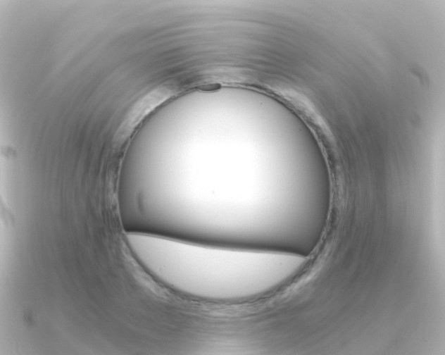 X0000091360889200708101053