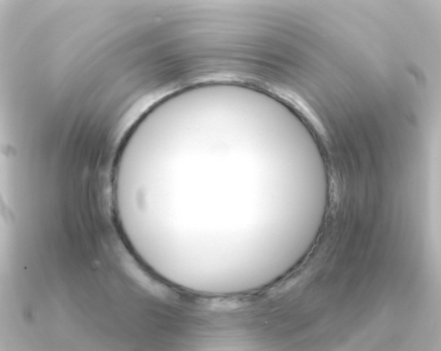 X0000091360890200708101053