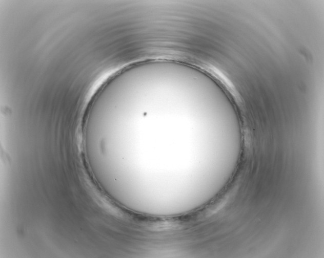 X0000091360891200708101053