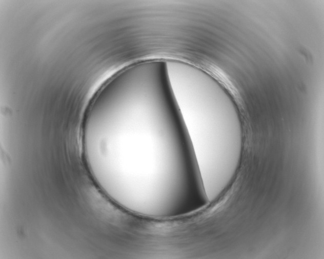 X0000091360892200708101052
