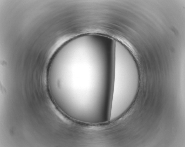 X0000091360894200708101052