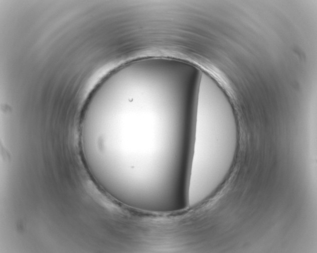X0000091360896200708101052