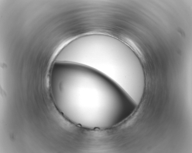X0000091360900200708101052