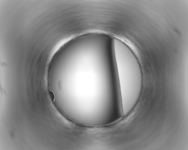 X0000091360902200708101052