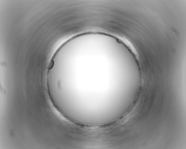 X0000091360903200708101052