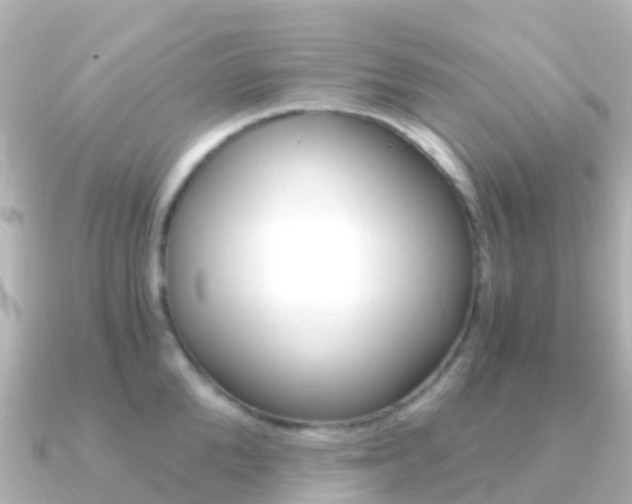 X0000091360904200708101052