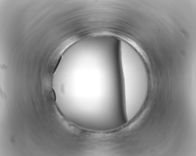 X0000091360905200708101052