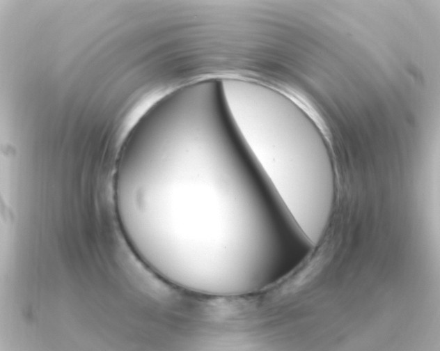 X0000091360906200708101052