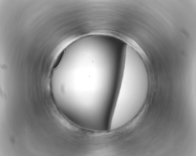 X0000091360908200708101052