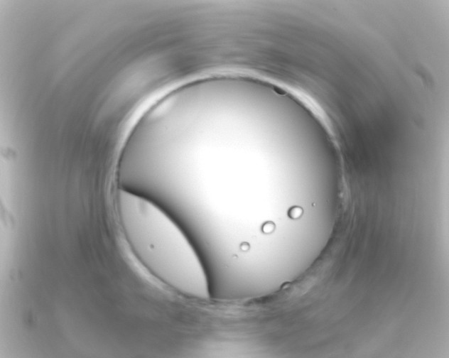 X0000091360911200708101052