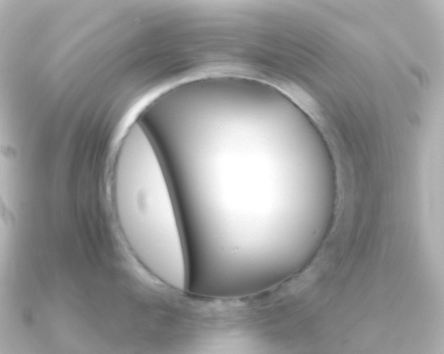 X0000091360912200708101052