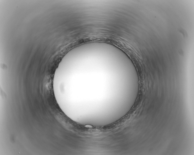 X0000091360914200708101052