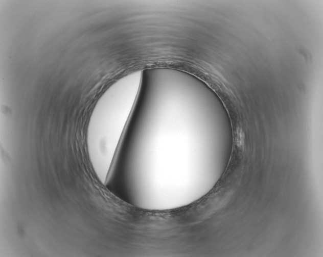 X0000091360915200708101052