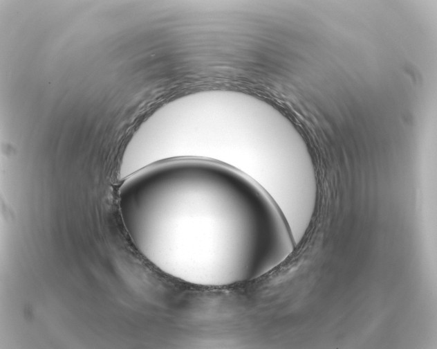 X0000091360916200708101052