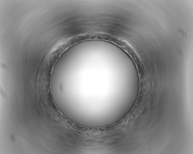 X0000091360919200708101052