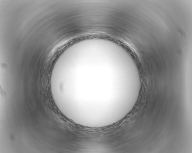 X0000091360920200708101052