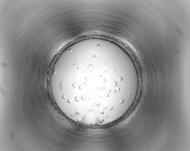 X0000091360921200708101052
