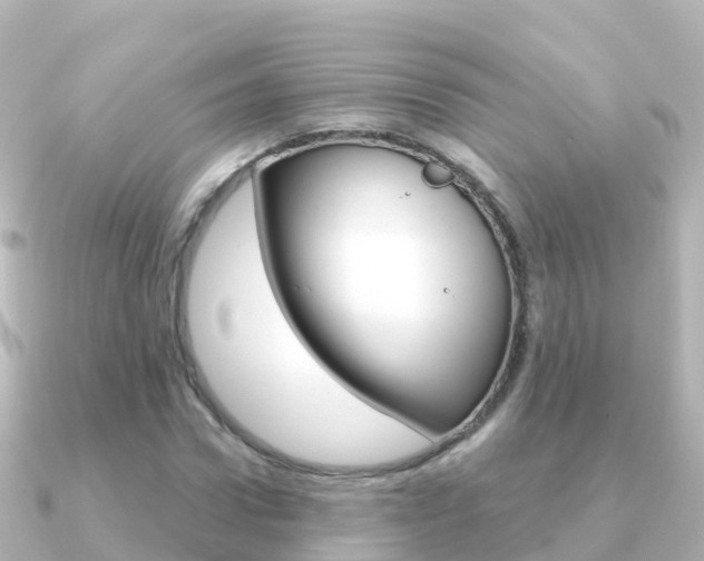 X0000091360922200708101052
