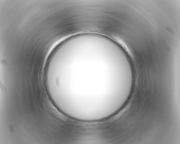 X0000091360924200708101052