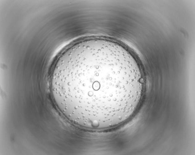X0000091360925200708101052