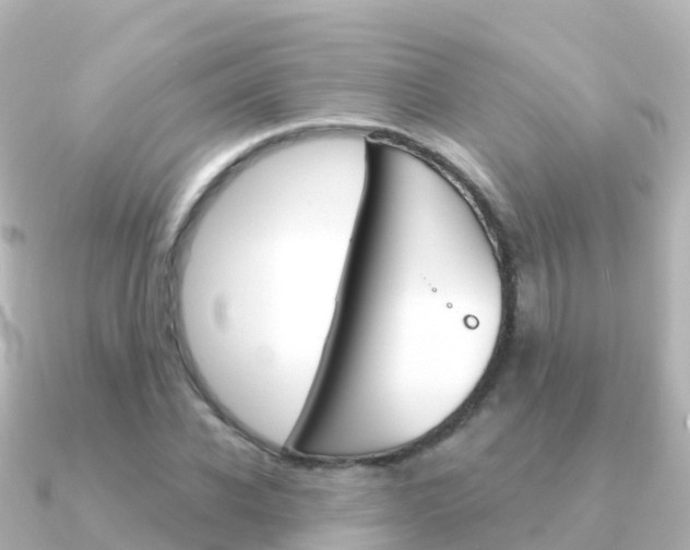X0000091360926200708101052
