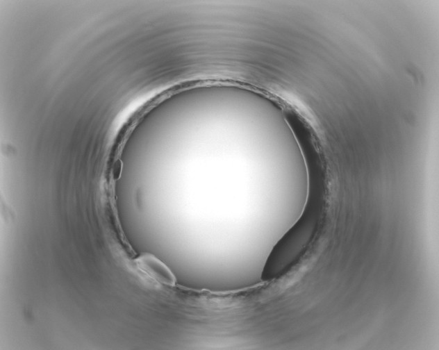 X0000091360928200708101052