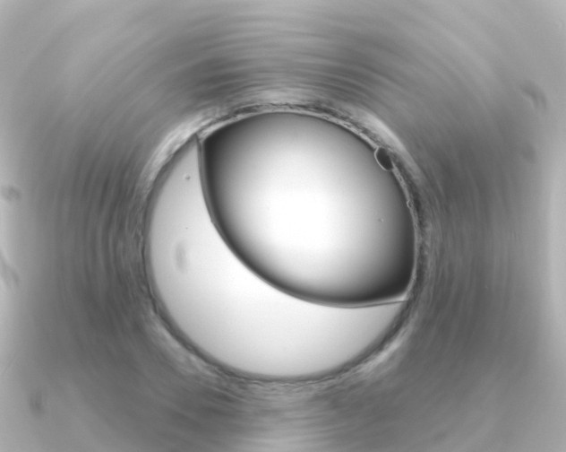 X0000091360930200708101052