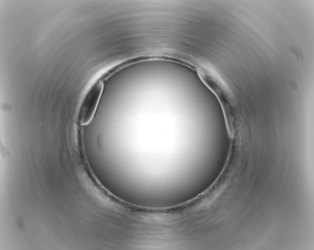 X0000091360932200708101052