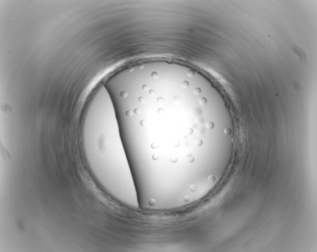 X0000091360933200708101052