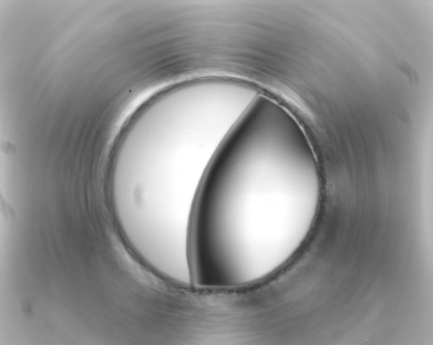 X0000091360934200708101052